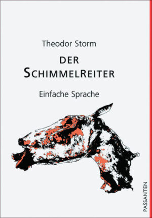 Hauke Haien ist der Sohn eines Landvermessers und Kleinbauern an der Küste in Nordfriesland. Deiche schützen hier das flache Land vor den Stürmen der Nordsee. Hauke möchte Deichgraf werden. Der Deichgraf ist verantwortlich für die Deiche am Meer und damit auch verantwortlich für den Schutz der Menschen. Nicht alle im Ort sind dafür, dass Hauke Deichgraf wird. Denn Hauke ist noch sehr jung und er ist klug und er hat neue Ideen. Wird ihm Elke, die Tochter des alten Deichgrafen helfen? Die Leute im Ort sind misstrauisch. Sie wollen, dass alles so bleibt wie immer. Der Herrgott wird es schon richten. Was kann Klugheit gegen Aberglauben und Neid ausrichten? - wenig. Was ist ein Deich aus Sand und Stroh gegen das stürmische Meer? - Sand und Stroh.