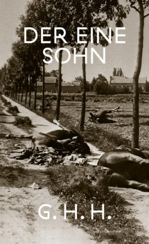DER EINE SOHN - Ein Soldat kehrt aus der Kriegsgefangenschaft in Frankreich im März 1920 in das Pfarrhaus zurück, in dem er aufgewachsen ist. Ort der Handlung sind das Dorf Heiligenfelde und dessen Nachbarorte in der Altmark. Der Vater des Soldaten ist Pfarrer, die Mutter ist sechs Wochen zuvor gestorben. Vater und Sohn sind zum ersten Mal auf das Gespräch miteinander angewiesen. - Um das, was sich aus dieser Konstellation ergibt, geht es in dem Roman. Erinnerungen spielen eine Rolle, auch Träume, Albträume. Wiederbegegnungen. Landschaft. Neben Heiligenfelde, Seehausen und Arendsee in der Altmark kommen Magdeburg, Rostock und Warnemünde im Roman vor, ferner das Kriegsgefangenenlager in Châteauroux/Indre. - G. H. H. lebt und arbeitet in Berlin und schreibt gelegentlich für die FAZ. - Der Deutsche Literaturfonds hat die Arbeit am Roman mit einem einjährigen Werkstipendium gefördert.