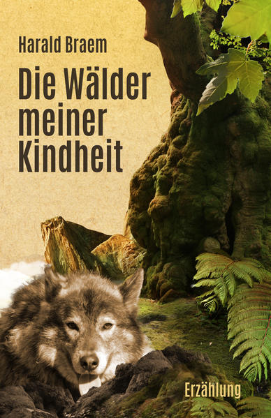 „Waldbaden“ vor 75 Jahren: Ein Flüchtlingsjunge wächst, zusammen mit einem Wolfshund und den Großeltern, unter ärmlichsten Bedingungen im Westerwald auf. Truda hat das „zweite Gesicht“, gilt als Hexe und Heilfrau. Der alte Mudri ist Freigeist, Ingenieur und Erfinder und träumt von einer besseren Welt. Unter diesen Bedingungen lernt der Junge die „Waldschule“ kennen.