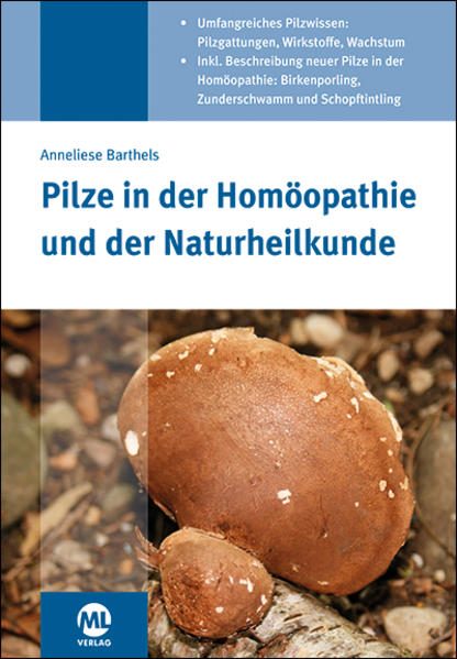 Pilze sind wie Zauberwesen in einer magischen Welt: sie berauschen, können Krankheiten hervorrufen, vergiften, zerstören aber auch heilen und Geschwüre zum Einschmelzen bringen. Anneliese Barthels ist fasziniert von ihrem alchemistischen Können im Stirb- und Werdeprozess und ihre Vermittlerrolle im Austausch der Informationen in der Pflanzenwelt. Sie beschreibt das Reich der Pilze, ihre Wirkstoffe, ihre Einsatzmöglichkeiten in der Naturheilkunde und als Lieferanten für Arzneimittel und ihr charakteristisches Verhalten. Im Kapitel „Pilze in der Homöopathie" werden die gemeinsamen Merkmale von Gemüts- und Körpersymptomen und die besonderen und auffälligen Symptome von einzelnen Pilzarzneien beschrieben und mit den Themen der Uranserie verglichen. Einen Hauptbestandteil des Fachbuches bilden drei Studien nach homöopathischen Prinzipien zu neuen Pilzen: Echter Zunderschwamm Fom- f., Birkenporling Pipt- b und Schopftintling Copr- c. bringen weitere Einblicke in die Welt der Pilze. Die Protokolle sind nach Symptomenschwerpunkten aufgeführt. Mit den Aufzeichnungen von bereits gut gelaufenen Fällen werden die neuen Arzneimittelbilder vervollständigt und verständlicher. Das Repertorium im Anhang erleichtert die Arzneimittelwahl.