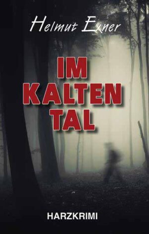 Im Kalten Tal | Helmut Exner