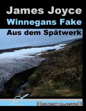 Die Ausgabe präsentiert Passagen aus „Finnegans Wake“ und zwei kleinere Texte im Stil des „Wake“, abgedruckt im Original und in deutscher Übersetzung. Nach dem Erscheinen des „Ulysses“ am 2. Februar 1922 widmete James Joyce seine schriftstellerische Schaffenskraft siebzehn Jahre lang fast ausschließlich einem einzigen Werk, nämlich „Finnegans Wake“