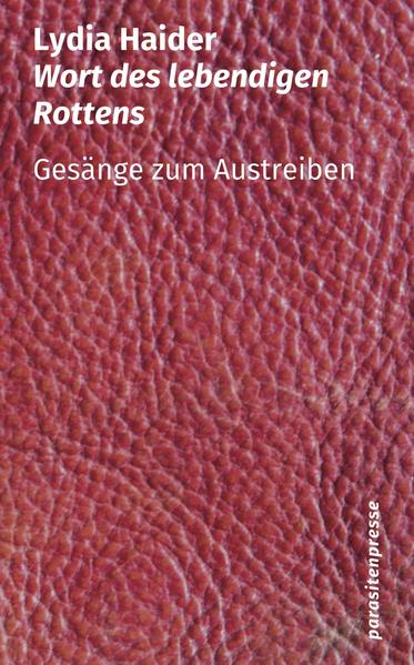 Die Wiener Schriftstellerin und Musikerin Lydia Haider hat 88 Gesänge zum Austreiben geschrieben.