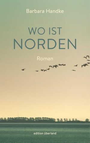 Für Marlene heißt Mauerfall zunächst nur Glücksfall. Endlich kann sie tun, was ihr liegt: ein Gutshaus zu einer Mark auftreiben, dort ein Café eröffnen und ihre Kinder an diesem geradezu magischen Ort aufwachsen lassen. Allerdings hat sie weder mit der Feindseligkeit der Dorfbewohner gerechnet, noch mit der Hartnäckigkeit des alten Gemäuers, immer irgendwo baufällig zu sein. Auch die Familie zieht nicht an einem Strang - ihre Schwiegermutter ist zu dominant, ihr Schwager zu abhängig und Konrad, ihr Mann, womöglich nicht ganz treu. In diesem Dorfkosmos verdichten sich die 1990er-Jahre im Osten, die ganze Widersprüchlichkeit aus Euphorie und Verlust, Orientierungslosigkeit und Aufbruch.