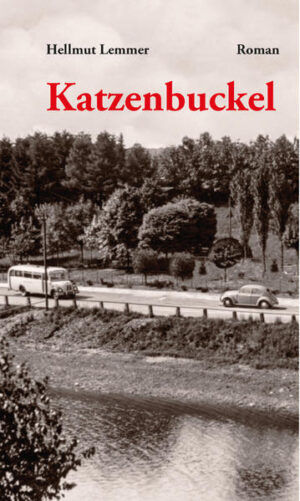 60er Jahre im Sauerland Heiners Verpflanzung in die Großstadt kann nicht gutgehen. Der Junge muss zurück ins Sauerland. In dem kleinen Dorf versuchen er und seine Freunde, einen Platz in der Welt der Erwachsenen zu finden. Leben bedeutet immer wieder Kampf