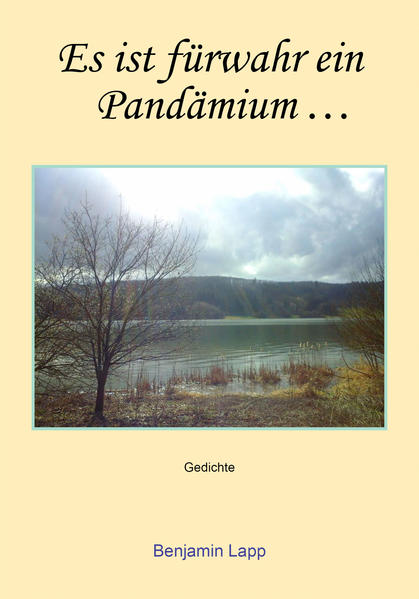 Es ist fürwahr ein Pandämium der verpassten Gelegenheiten nicht die Liebe der Welt spüren zu wollen 34 interessante Gedankensplitter aus der Zeit der Pandemie