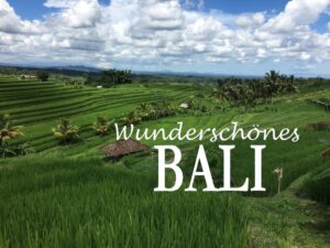 Die Insel Bali ist ein Paradies für Unternehmungslustige. Aber nicht nur die wunderschönen Strände locken, es ist auch die landschaftliche und kulturelle Vielfalt auf Bali, die so anziehend auf uns wirken. In diesem Bildband spiegelt sich die Schönheit dieser Region wider, mit vielen interessanten Informationen zu Geschichte und Gegenwart.