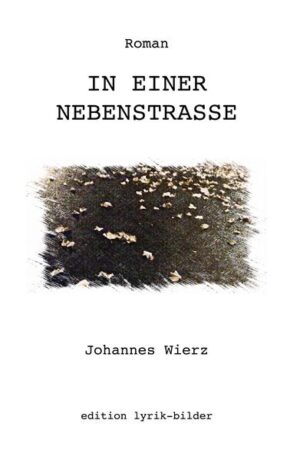 Der achtzigjährige Hausbesitzer, Herr Frederik, der noch am Morgen die Blätter vor dem Haus aufgekehrt hat, erleidet wenige Stunden später einen Schlaganfall. Seine Frau - wie jeden Tag auf ihre Hausarbeit fixiert - bemerkt erst spät den lebensgefährlichen Zustand ihres Mannes. Der übergewichtigen Tochter Hildegard, die mit ihren eigenen Problemen beschäftigt ist, fällt ebenfalls nichts auf. Auch das Leben des einzigen Untermieters, Rainer Demuth, ändert sich an diesem Tag schlagartig. Der Computerspezialist nimmt den schmierigen Kollegen und Frauenheld Patzek in seiner Wohnung auf. Das Leben der Hausgemeinschaft verändert sich. Die scheinbar friedliche Fassade bröckelt, Konflikte aus der Vergangenheit brechen auf. Warum leidet Frau Frederik sosehr am frühen Tod ihres Sohnes? Woher rührt Hildegards Interesse an Patzek? Und warum holt sie plötzlich Bilder ihrer Jugendliebe Lizzy hervor, die in einem gemeinsamen Hollandurlaub wie vom Erdboden verschwunden ist? Auch Rainer Demuth scheint ein Geheimnis zu haben. Ebenso seine Kollegin Gabriele Kluge, die sich für die dunkle Vergangenheit der Versicherung interessiert, und für die Demuth regelmäßig Morsezeichen aus dem Radio aufnehmen muss. Ein Psychogramm unterschiedlicher Generationen: Liebe, Vergangenheitsbewältigung und Verdrängung in all ihren Facetten - eine Konstellation, die unweigerlich in die Katastrophe führen muss.