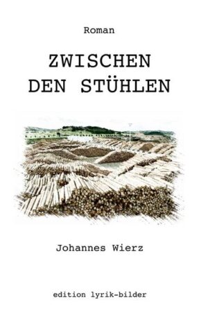 Mit der Veröffentlichung seines ersten Romans gerät das Leben des Hamburger Autors aus den Fugen. Seine Ehefrau erkennt sich in dem Machwerk wieder und schmeißt ihn raus. Ein alter Freund stellt ihm in Bonn eine Wohnung zur Verfügung. Allein in der fast leeren Wohnung werden zwei alte Stühle zu seinen einzigen Gesprächspartnern, die ihn zunehmend mit seiner gespaltenen deutsch-österreichischen Identität konfrontieren.