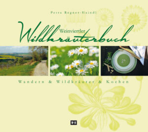 Anhand von drei Wanderwegen im Weinviertel führt die Kräuterpädagogin Petra Regner-Haindl ein in die wunderbare Welt der Wildkräuter der Region. Wildpflanzen liegen voll im Trend, ebenso wie das Entdecken der Natur vor der eigenen Haustür. Dieses Buch ist der passende Einstieg für alle, die im Weinviertel auf Wildkräutersuche gehen möchten. Die Autorin lädt ein zu einer Frühlings-, Sommer- und Herbstkräuterwanderung. Sie zeigt auf, welche Pflanzen es entlang der Wege zu den verschiedenen Jahreszeiten zu entdecken gibt. Insgesamt 28 Pflanzenportraits mit passenden Rezepten werden präsentiert. Wo wird man fündig? Welches sind die schmackhaftesten Pflanzenteile? Wie werden Kräuter am besten verarbeitet? All diese Fragen beantwortet dieses Buch. Petra Regner-Haindl bietet aber nicht nur Anleitungen zum Sammeln, sondern auch zum Kochen von Wildkräutergerichten. Neben historischen Pflanzenabbildungen finden sich aktuelle Fotografien der vorgestellten Rezepte im Buch. Die beschriebene Wildpflanzenküche ist regional, einfach zum Nachkochen und spannt einen Bogen von den Frühlingskräutern über die Blütenküche bis hin zu fruchtigen Wildobstgerichten. Das Buch weckt die Lust aufs Wandern im Weinviertel, gibt konkrete Ratschläge fürs Pflanzensammeln und bietet genussvolle Anregungen für die regionale Wildkräuterküche mit einfachen und leicht umsetzbaren Rezepten für jede Gelegenheit. Denn Kochen mit Wildkräutern ist nicht nur gesund, sondern auch ein sinnliches Vergnügen … Die Autorin: Petra Regner-Haindl wuchs auf einem Weingut im südlichen Weinviertel auf. Seit 1998 ist sie für Reed Exhibitions Österreich in Wien tätig. Sie absolvierte die Weinviertler Kräuterakademie, anschließend den LFI-Zertifikatslehrgang zur Kräuterpädagogin. In zahlreichen weiteren Seminaren, Workshops und Reisen vertiefte sie ihre Kenntnisse in der Wildkräuterkunde, mittlerweile ist sie selbst als Referentin sowohl in der Weinviertler Kräuterakademie als auch in der Kräuterpädagogenausbildung tätig und gibt Ihr Wissen in Kursen weiter. Ihre besondere Liebe gilt der Wildkräuterkulinarik.