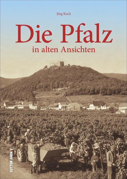 Die Pfalz | Bundesamt für magische Wesen