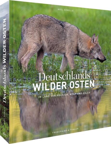 Das Ende der DDR war auch für die Natur ein Glücksfall. Quasi über Nacht wurden große Flächen unter Schutz gestellt und einmalige Naturreservate geschaffen. Sie ermöglichten das Comeback fast ausgestorbener Arten. Seeadler, Wolf und unzählige bedrohte Tiere kehrten zurück und bevölkerten Deutschlands Wildnis im Osten: von der Vorpommerschen Boddenlandschaft über die Müritz und die Lausitz bis zum Harz. Ein einmaliger Bildband über Deutschlands wilde Tiere und Naturgebiete.