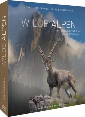 Magie der Alpenwelt Was macht die Lebenswelt der Alpen so besonders? Ein opulenter Bildband über Gipfel und Gletscher, Gämsen und Gebirgsvögel von ihrer schönsten Seite. Einst waren sie Meer, heute sind sie einzigartiger Lebensraum für unzählige Tiere und Pflanzen: die Alpen. Ihre Wildnis fasziniert – doch was charakterisiert die geheimnisvolle Schönheit der Berge? Welchen Vögeln, Säugetieren, Kleinstlebewesen und Pflanzen begegnet man vom Tal über die Baumgrenze bis zu den erhabenen Gipfeln im Hochgebirge? Und wie ist es um die Zukunft der Alpen bestellt? Ein außergewöhnlicher Bildband, der mit fantastischen Fotos und fundiertem Detailwissen zum Alpenraum begeistert. Einzigartiger Bildband über die faszinierende Lebenswelt der Alpen Informativer Text von einem der renommiertesten Naturwissenschaftler Deutschlands Eindrucksvolle Fotografien von Bergpanoramen, Tieren und Pflanzen