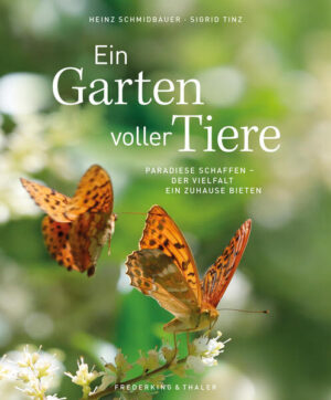 Unser Garten, ein Tierparadies Eichhörnchen, Schwalben, Marienkäfer und unzählige andere Arten leben direkt vor unserer Haustür Heinz Schmidbauer und Sigrid Tinz haben ein ganzes Jahr damit verbracht, die Tierwelt in unseren Gärten zu begleiten. In ihrem Buch "Ein Garten voller Tiere" entfalten sich wundervolle Fotos und spannende Texte, die unsere tierischen Mitbewohner aus einer völlig neuen Perspektive zeigen. Dieser Bildband ermöglicht es Ihnen, unsere Gartenbewohner in ihren privaten Momenten zu beobachten und ihre verblüffenden Facetten zu entdecken. Tauchen Sie ein in die faszinierende Welt der Vögel, Insekten und Säugetiere, die unsere Gärten beleben. Aber das ist noch nicht alles. "Ein Garten voller Tiere" bietet nicht nur einen einzigartigen Einblick in die Tierwelt, sondern gibt Ihnen auch wertvolle Tipps, wie Sie die Natur in Ihrem eigenen Garten hautnah erleben können. Erfahren Sie, wie Sie Ihren Garten zu einem wahren Paradies für Wildtiere machen können. Die naturnahe Gestaltung Ihres Gartens wird nicht nur Sie begeistern, sondern auch unsere gefiederten und pelzigen Freunde anlocken. Dieser Bildband ist eine Hommage an unsere altbekannten Gartenlieblinge, die Sie völlig neu erleben werden. Gleichzeitig lernen Sie unbekannte Arten kennen, die zu Ihren neuen Lieblingstieren werden. "Ein Garten voller Tiere" ist nicht nur ein Buch, sondern ein Tor zu einer magischen Welt, die direkt vor Ihrer Haustür liegt. Bestellen Sie Ihr Exemplar noch heute und werden Sie Teil der faszinierenden Tiergeschichten, die sich in unseren Gärten entfalten. Faszinierende Tierporträts von einem leidenschaftlichen Naturfotografen Mit praktischen Tipps, wie man die Artenvielfalt in den Garten holt