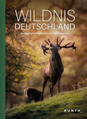 Es gibt sie noch, die unberührten Orte mitten in Deutschland, die uns erahnen lassen, wie ein Leben ohne den Menschen in unserem Land ausgesehen hätte. Majestätische Berge, um die Steinadler kreisen, ursprüngliche Wälder, die in ihrem Dickicht mystisch wirken, dazu die stürmischen Weiten des Wattenmeers – in grandiosen Bildern eröffnet »Wildnis Deutschland« neue Einsichten in unsere alte Heimat. + Beeindruckende Landschafts- und Tierfotografie + Großartige Naturmonumente + Altarfalze mit grandiosen Panoramabildern