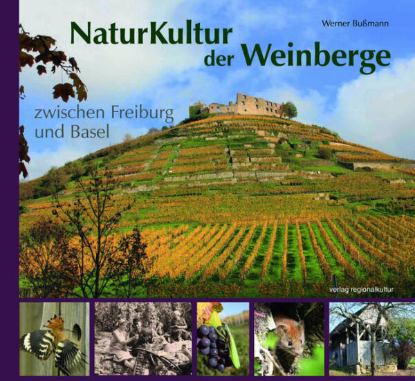 NaturKultur der Weinberge zwischen Freiburg und Basel | Bundesamt für magische Wesen