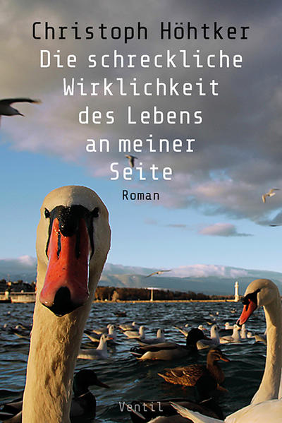 Gestatten: Frank Stremmer, Expat und PR-Mann eines dubiosen Geldinstituts in Genf auf dem Schleudersitz. Besondere Kennzeichen: Welthass beziehungsweise Humor, Selbstekel beziehungsweise Narzissmus. Ausgeprägtes Interesse an Seitensprüngen und exquisiten Drogen aus Japan. Seit zwölf Jahren liiert mit Marion, die genau wie Frank irgendwo aus der ostwestfälischen Provinz stammt und, von Franks Eskapaden und Einwürfen mürbe, den Sprung zurück versucht. Habitat und Grundton für dieses Psychogramm eines zynischen Neurotikers liefert der letzte heiße Sommer vor der globalen Finanzkrise in der Geldstadt Genf