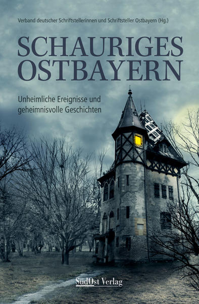 Geistergeschichten und Schauerromane haben eine lange Tradition. Bereits Goethe (Faust), Schiller (Der Geisterseher), E.T.A. Hoffmann (Die Elixiere des Teufels) und viele mehr befassten sich mit dieser literarischen Gattung. Auch im Ausland blühte diese im 19. Jahrhundert auf mit den Romanen und Erzählungen von Mary Shelley (Frankenstein, 1818), Edgar Allan Poe (Die Maske des roten Todes, 1842), Oscar Wilde (Das Gespenst von Canterville, 1887) und Bram Stoker (Dracula, 1897). Die Faszination des Verstörenden und Traumhaften setzt sich bis in unsere Tage fort. Das Gruseln beim Lesen geheimnisvoller Geschichten jagt wohlige Schauer über unseren Rücken, lässt uns Eintauchen in eine Welt des Außergewöhnlichen und Unbewussten. Dreizehn schaurige Geschichten laden ein in diese Welt der übernatürlichen Wesen und unerklärlichen Ereignisse. Da regt sich Unheimliches in Parkanlagen und Villen. Geister bevölkern Brücken und Tiefgaragen. Kapuzenmänner, Bettelmönche und Werwölfe treten auf und zeigen ihr wahres Gesicht. Tote kehren wieder und Ausgräber fallen in ein Zeitloch. Gruselige Wesen quälen Schäfer, Finanzbeamte, Versicherungsverkäufer und Studenten. Nirgends kann man sich sicher fühlen, denn losgelassen sind Hexen, Teufel und andere höllische Gestalten. Vorsicht! Gar schaurig geht’s zu in ostbayerischen Orten, wie Regensburg, Straubing, Cham, Niederalteich, Sulzbach-Rosenberg, Donaustauf, beim Überqueren der Donau bei Wörth, in der Landshuter Gegend, im Altmühltal sowie im Gebiet zwischen Vils und Naab. Mitgeschrieben haben: Bettina Auer, Wolfgang Hammer, Karin Holz, Ingrid Kellner, Gabriele Kiesl, Julia Kathrin Knoll, Carola Kupfer, Oliver Machander, Marita A. Panzer, Sabine Rädisch, Siegfried Schüller, Martin Stauder und Rolf Stemmle.