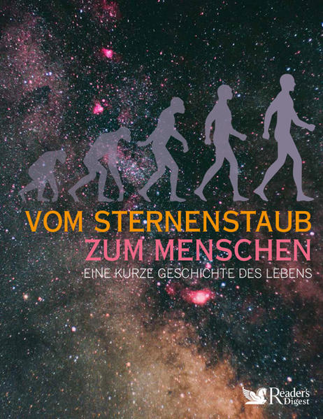 Vom Sternenstaub zum Menschen | Bundesamt für magische Wesen