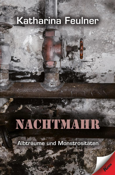 Das Leben hat einen doppelten Boden. Irgendwo, in den Gassen einer ganz normalen Stadt, in einem durchschnittlichen Hotel, in ländlicher Idylle lauern sie: die Verfolger. Die Schattenfresser. Die Nebelgänger. Die Zombies. In 10 unheimlichen Geschichten lässt Katharina Feulner Gänsehaut entstehen.