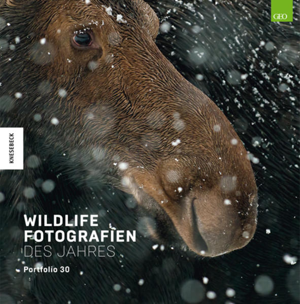 Die besten Bilder des Wildlife Photographer of the Year-Awards 2020 Der renommierte, bei Naturfotografen weltweit äußerst begehrte Wettbewerb »Wildlife Photographer of the Year« prämiert herausragende künstlerische Aufnahmen der Natur. Die 100 besten Bilder der Sieger und der lobend Erwähnten des Wettbewerbs 2020 zeigt dieser Band in hervorragender Qualität mit einem informativen Begleittext, der die Entstehungsumstände spannend beschreibt. Wer sich über die aktuelle Entwicklung der Naturfotografie informieren will, erhält hier meisterhafte Beispiele von Tier- und Landschaftsbildern, die unseren Planeten in seiner ganzen Schönheit und Zerbrechlichkeit zeigen.