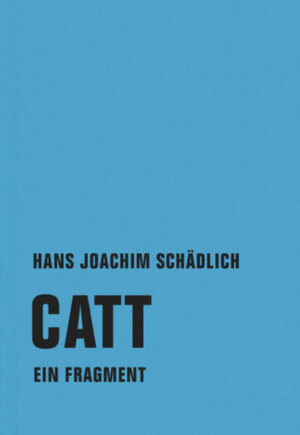 Eine junge Frau, die von ihren besten Freunden Catt genannt wird, verdient in Ostberlin als Taxifahrerin ihr Geld. Das Taxifahren ist nur ein notwendiger Job. Catt ist eine Schriftstellerin, die die Erfahrungen ihres Arbeitsalltags und ihrer persönlichen Beziehungen einerseits in ausgearbeiteten Prosaskizzen, andererseits in bloßen Arbeitsnotizen festhält. Catt ist auf der Suche nach ihrer Freundin Janina, die plötzlich verschwunden ist. Janina war Assistentin am Kunsthistorischen Institut der Universität. Die Nachforschungen über Janinas Verbleib zeichnet Catt mit dem literarischen Anspruch auf, Janinas Geschichte zu schreiben - so entsteht eine Geschichte in der Geschichte.