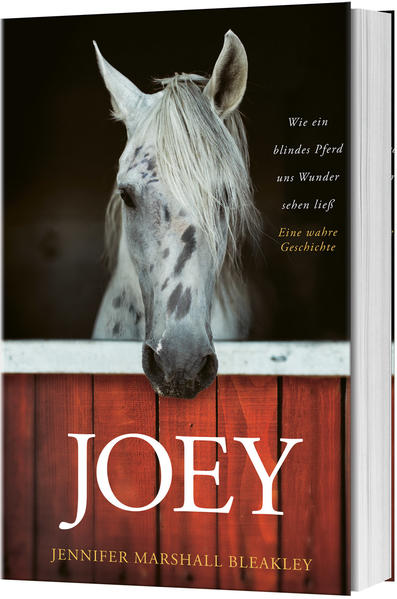 Joey - Wie ein blindes Pferd uns Wunder sehen ließ | Bundesamt für magische Wesen