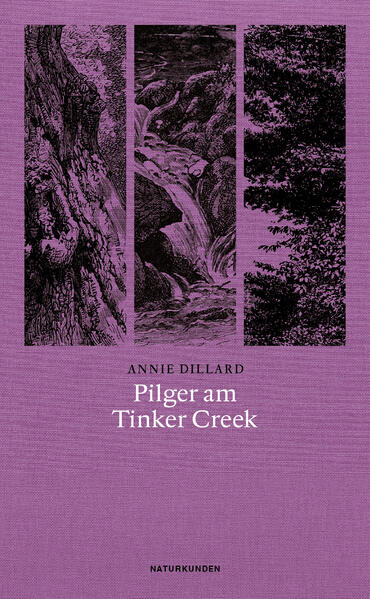 Inspiriert von Henry David Thoreaus Walden zieht sich die 27-jährige Annie Dillard Anfang der 70 er Jahre in die Virginia Blue Montains zurück, um die vielfältigen Erscheinungen der Natur genau zu studieren und das Wunder des Schauens auf sich wirken zu lassen und »wieder zu Sinnen zu kommen«, wie es Thoreau einst gefordert hatte. Ausgehend von der Erkenntnis, dass »das Detail« das erste und »sichtbare Faktum der Welt« sei, unternimmt sie tägliche Wanderungen an den bewaldeten Ufern des Tinker Creek, beobachtet und beschreibt den Wechsel des Lichts und das Wesen des Windes, das Leben der Bisamratten und Heuschrecken, die Schönheit der gegen den Strom schwimmenden Fische und die eines Wassertropfens unter dem Mikroskop. Geleitet von der Frage nach den Absichten einer Schöpfungskraft, die sich in all dem Naturschauspiel zugleich offenbart und verbirgt, verbinden sich die genauen, überraschenden und oft auch verstörenden Entdeckungen ihrer Streifzüge in die Wildnis mit Gedankengängen aus Literatur, Naturwissenschaft und Mystik. Dillards Sprache ist dabei so klar und poetisch, so erhaben und erbarmungslos wie der Gegenstand ihrer Erzählung selbst : die lebendige Gegenwart der verwirrend vielfältigen Natur. Pilger am Tinker Creek ist naturphilosophische Meditation, geistige Autobiografie, metaphysischer Lobgesang und poetischer Essay zugleich und nicht zuletzt die Chronik einer Suche nach nichts Geringerem als dem Sinn der Schöpfung.