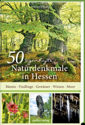50 sagenhafte Naturdenkmale in Hessen | Bundesamt für magische Wesen