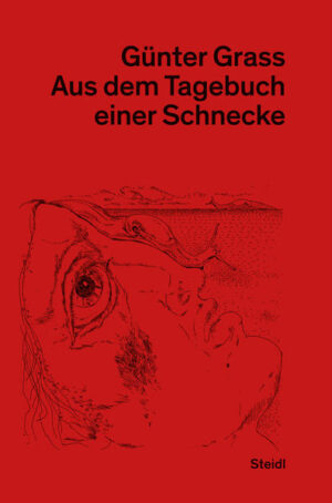 Längst gehört der Wahlkampf von 1969 der Geschichte an. Viele Schriftsteller und Intellektuelle haben damals Partei ergriffen und Wählerinitiativen angeregt - allen voran Günter Grass. Jahre später hat er seine damaligen Tagebuchnotizen dazu benützt, seinen Kindern das Engagement für die SPD, für seinen Freund, den Emigranten Willy Brandt, und gegen den damaligen Bundeskanzler und ehemaligen Nationalsozialisten Kiesinger zu erklären.