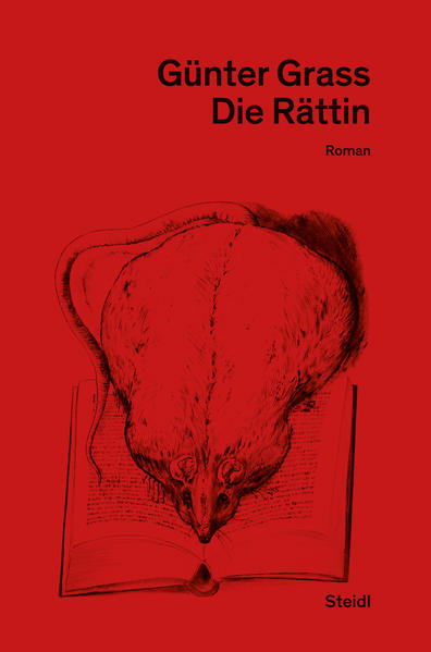 In den Träumen des Erzählers kann das Tier sprechen und zwingt ihm die Vision vom Untergang der Menschheit und der Übernahme der Herrschaft auf Erden durch Ratten auf. Sie allein haben in der von Neutronenbomben getroffenen Stadt Gdansk-Danzig überlebt und bauen dort auf eine Solidarität gegründete neue Zivilisation auf. Gegen diese apokalyptischen Visionen entwickelt der Erzähler seine Geschichten: vom Maler Malskat und der falschen Restauration der 1950er Jahre, von toten Wäldern und von fünf geliebten Frauen, die sich in der quallenverseuchten Ostsee auf die Suche nach Vineta machen, einem Ort weiblicher Utopie.