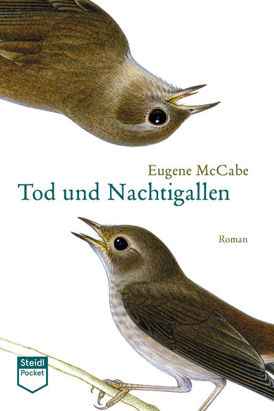 Eugene McCabes fesselnder Roman spielt an einem einzigen Tag des Jahres 1883: Billy Winters, protestantischer Grundbesitzer im Norden Irlands, war reichlich betrunken und sehr zornig, als er seiner Frau eröffnete, dass er ihrer Tochter Beth auf keinen Fall etwas vererben wird. Steinbruch, Pachten, Farmland und ein erheblicher Goldschatz sollten dem katholischen Kuckuckskind nicht in die Hände fallen. Jahre später beschließt Beth, den Hof zu verlassen. Sie hat genug von Billys Wutanfällen und der mehr als väterlichen Zuneigung. An ihrem Geburtstag will sie mit seinem Gold und ihrem Geliebten durchbrennen. Doch der Mann, dem sie ihr Leben und das ihres ungeborenen Kindes anvertraut, ist ein skrupelloser Verbrecher.