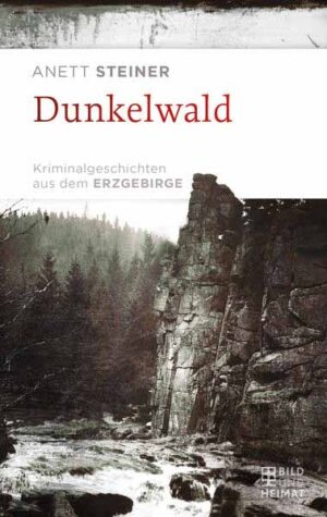 Dunkelwald Kriminalgeschichten aus dem Erzgebirge | Anett Steiner