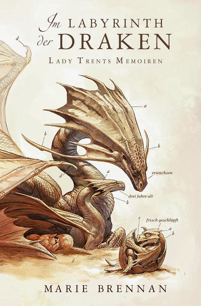 Lady Trents Memoiren 4 Im Labyrinth der Draken | Bundesamt für magische Wesen