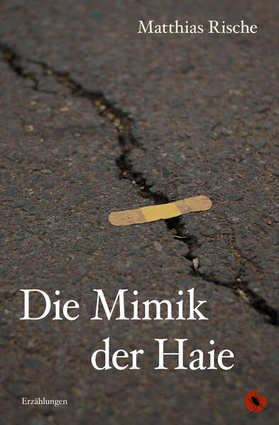 Amir verlässt ein Schiff. Kim verlässt die Psychiatrie. Helge will keine Lügen mehr. Lilli und Nick sind allein zu Haus. Menschen erfrieren oder kochen über. Matthias Rische versetzt uns in die Leben der anderen, lässt uns teilhaben an ihren Ängsten und Irritationen, an ihrer Grausamkeit und ihren Süchten, aber auch an ihren Hoffnungen und Erkenntnissen. Seine Protagonisten sind oft Außenseiter, die mit einem Makel zu kämpfen haben. Etwas hat sie aus der Bahn geworfen - die familiären Umstände, körperliche Gewalt, eine Krankheit oder ein Verlust. Diese 22 ungewöhnlichen Geschichten prägen sich ein und gehen an Herz und Nieren.