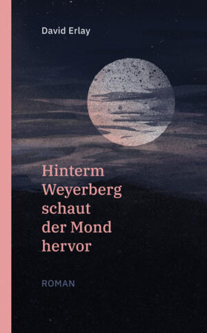 Im Schlafzimmer, vor dem Spiegel. Was Monika dort sieht, ist eine Szene in Worpswede. Ihre bis dahin harmonische Ehe beginnt zu bröckeln, denn ihr Mann Reinhard fühlt sich nicht mehr als der, als welcher er geboren wurde. Seinem Verlangen, Monika möge seiner neuen Menschwerdung zustimmen, kann sie nicht nachkommen und so verwickelt sie sich immer mehr in Wut und Verzweiflung. Erlay beschreibt in einer eigenen, faszinie­renden Sprache eine hochaktuelle Ehe­geschichte, die in Worpswede und im Tessin angesiedelt ist und sowohl gegenwärtiges als auch kunstgeschichtliches Kolorit des Künstler­dorfes enthält. Kein Text, der in einem Atemzug, sondern in Stufen entstand und durch seinen kriminalistischen Rahmen eine besondere Spannung vermittelt.