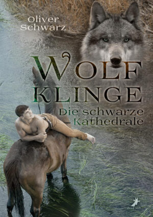 Die Hafenmetropole Elsterberg, Sommer 1536: Der junge Wolfsmann Thorun ist ein begnadeter Dieb. Eigentlich wollte er im Jubel einer Hinrichtung einige Leute um ihre Geldbörse erleichtern, doch plötzlich hat er den Beschuldigten selbst befreit: Falk Wyatriusz, Magie- Student, und nicht weniger aufmüpfig als er. Auf der gemeinsamen Flucht wird ihnen klar, dass sie viel mehr füreinander empfinden, als sie sich zunächst eingestehen wollen. Und das Abenteuer, in das sie geraten, hält noch so manche sinnliche wie gefährliche Überraschung für sie parat.