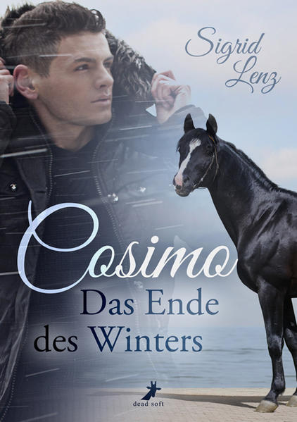 Nach dem Tod seiner Schwester ist Lou auf einmal für den Hengst Cosimo verantwortlich. Ein schwieriges Pferd, mit dem niemand richtig klarkommt. Doch bald bemerkt er, dass es eine Verbindung zwischen ihnen gibt. Denn Cosimo ist anders als andere Pferde. Eine alte Seele, ein Wandler …