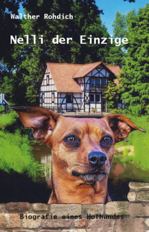 Vom Hofhund Nelli, der 1954 auf Hof Lohage seine Karriere begann, gibt es weder Fotografien noch andere Abbildungen. So dass sich der Leser aufs Wort des Autors verlassen muss. Und das gilt! Nur selten in der Literatur wird ein Hofhund für würdig befunden, literarisch dem Andenken an seine Taten und Leistungen zu verfallen - hier ist es geschehen! Unsere Leserschaft mag sich heute wundern, was früher auf einem mittleren Bauernhof alles passieren konnte: Gutes, weniger Gutes, Beachtenswertes und Achtenswertes. Ein Hundeleben ist kurz: Wenn man sich richtig auf Kamerad Hund eingelebt hat, er ein zweites Ich geworden ist - dann ist schon wieder alles vorüber und vorbei. Nur das Andenken bleibt, zum Beispiel in Form eines Buches ...