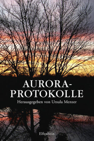 Aurora-Protokolle | Bundesamt für magische Wesen