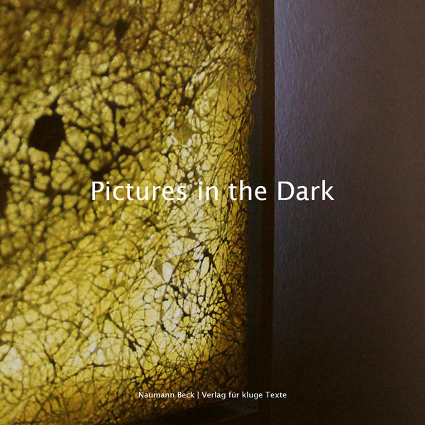 Pictures in the Dark | Bundesamt für magische Wesen