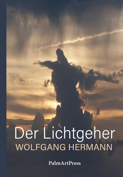 Ein Schatten löst sich vom hitzeflimmernden Horizont. Es ist eine namenlose Savanne im tiefen Afrika. Es ist Noel, der nach der Ermordung seiner Freundin als Flüchtling in Mitteleuropa landet, wo er nach einiger Zeit als beliebter Barkeeper Fuß fasst. Sein einzigartiger Charme, sein Witz, seine menschliche Wärme sind es, die ihm Türen öffnen. Zwischen Noel, Martha, ihrem gemeinsamen Sohn Julian, sowie Hans, der in Noel zum erstenmal einen Menschen erkennt, der ihn sieht und akzeptiert, wie er ist, entspinnt sich ein dichtes Netz aus Nähe.