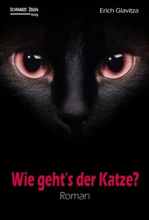 Ein angehender Pilot nimmt eine kleine herrenlose Katze bei sich auf. Kurz darauf erhält er ominöse Nachrichten: »Wie geht´s der Katze?« - doch wer weiß von seiner Katze? Die mysteriösen Vorfälle nehmen zu und seine Neugierde treibt ihn dazu, sich auf ein Blind Date mit einer völlig Unbekannten einzulassen. Doch es ist ein gefährliches Spiel, auf das er sich einlässt - ein BDSM-Spiel, bei dem er völlig die Kontrolle verliert ... „Eine erfrischende Sprache und erstaunliche Wortgewandtheit. Wie geht’s der Katze macht einfach Spaß, egal ob man auf BDSM steht oder nicht.“ Victor Lassier