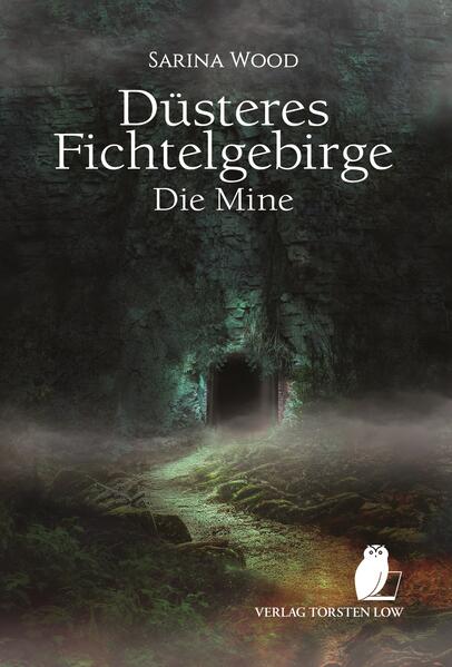 Ein gebrochenes Versprechen. Unerklärliche Vorgänge. Ein Familiengeheimnis. Eine alte Goldmine. 1952: Als drei Kinder den Eingang einer verlassenen Goldmine entdecken und sich Zugang verschaffen, ahnen sie nicht, welches Unheil ihr Handeln heraufbeschwört. Eine dunkle Macht wird befreit und hegt nur ein Ziel: Rache. 2010: Diana musste ihrer Mutter versprechen, niemals nach Goldhain zurückzugehen. Doch als ihre Tante im Sterben liegt, muss Diana als letzte Verwandte ihr Versprechen brechen und mit ihren drei Kindern in das Elternhaus ihrer Mutter zurückkehren. Die Menschen im Ort verhalten sich merkwürdig abweisend. Nur Michael, der sich um ihre Tante kümmerte, ist freundlich. Zu freundlich? Eine dunkle Präsenz streckt bereits die Hände nach ihnen aus …