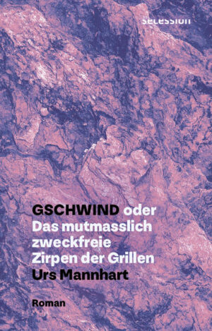 Von den Seltenen Erden sind der Wissenschaft bislang 17 bekannt. Urs Mannhart erfindet eine weitere: Das Rapacitanium. Der Namen ist abgeleitet aus dem franzo?sischen rapacite?, auf Deutsch: Habgier. Nomen est omen: Der Roman spielt mit der Annahme, die wohlstandsverliebte Schweiz werde selbst zum Kerngebiet des Abbaus Seltener Erden. Pascal Gschwind, verantwortlich fu?r den globalen Handel mit Rapacitanium, hetzt auf internationale Konferenzen, wa?hrend zu Hause seine Familie ihn kaum mehr zu Gesicht bekommt, und er steht schließlich vor einem Dilemma: Raubbau an der Natur, an seiner Familie und der eigenen Gesundheit versus Karriere und Geldgescha?fte. Als schließlich ein Berg am Thunersee droht zusammenzufallen, begreift Pascal Gschwind das Ausmaß der Zersto?rung seines Handels.