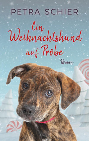 Ein Hund aus dem Tierheim? Tommi ist begeistert, als seine Eltern den süßen Mischling Otter adoptieren. Allerdings zunächst nur auf Probe. Während Tommi und seine ältere Schwester Emma von dem quirligen Familienzuwachs begeistert sind, freuen sich ihre Eltern weniger. Otter liebt nämlich nichts mehr als Bäche, Flüsse und schmutzige Pfützen und richtet jeden Tag ein neues Chaos an. Tommis Vater droht, den Hund zurück ins Tierheim zu bringen, doch dann ist Otter plötzlich verschwunden. Tommi will ihn retten und erlebt das größte Abenteuer seines Lebens … plus Bonus-Geschichte: Ein Opa unterm Weihnachtsbaum