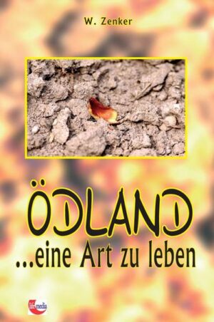 Ödland ist für die menschliche Nutzung ungeeignet. Deshalb ist es verwunderlich, dass so viele Menschen in Ödland leben. Wahrscheinlich bemerken sie nicht, wo sie leben. Ödland ist überall. In unserem Fall liegt Ödland in Niedersachsen, im Landkreis Diepholz. Dieses Buch schildert den Alltag von braven und fleißigen Bürgern. Sie haben Kinder, einen Job, ein Haus, ein Auto und eine Oma, die freiwillig als Haushälterin dient. Die Ödländer sehen sich als kleine Leute. Aber kleine Leute machen große Leute erst möglich. Und die großen Leute, das lehrt die Geschichte, richten in der Regel Unheil an. Ödland hat nichts mit einem erhöhten Ausländeranteil in der Bevölkerung zu tun, denn in Ödland leben fleißige Türken, aber auch faule Deutsche. Die Türken gelten als „Ausländers“ und können natürlich nicht so beliebt sein wie „Ur-Ödländers“. Die Ödländer sind in jeder Hinsicht resistent. Ihr Leben führen sie von der Wiege bis zu Bahre. Möglichst ohne besondere Vorkommnisse - das ist ihr Wunschtraum. Meistens geht er in Erfüllung.