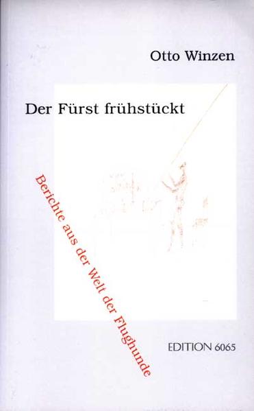 Die Figuren des facettenreichen Erzählbands sind heutige Menschen: Sie sind zum Teil schon älter und leiden unter Kriegstraumata, eine junge Frau hingegen muss ihre gepflegte Schönheit gegen die Patschhändchen des Söhnchens verteidigen. Auch heutige Orte kommen zur Sprache: humorvoll der Konzertsaal mit seinen vielseitigen Störern, den Hustern, Raschlern und Taschknipsern, ernst Orte wie die Schlachtfelder von Waterloo und Verdun. Dies und vieles mehr stellt Otto Winzen in überraschende Zusammenhänge.