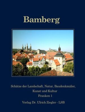 Der Band ist Teil der Reihe "Schätze der Landschaft und Natur, Baudenkmäler, Kunst und Kultur", die ausgewählte Regionen aus Europa, insbesondere aber aus Bayern, dann auch aus Deutschland und den Ländern des Alpenraumes in ausführlicheren und umfassenderen Darstellungen behandelt. Dabei wird jeweils, doch soweit im einzelnen sinnvoll, eine Aufgliederung in vier Bände vorgenommen: Der Hauptband (Cover dunkelblau) umfasst alle Themenbereiche. Bei entsprechendem Bedarf bzw. je nach Anzahl und Eigenschaft der in der Region vorhandenen Darstellungswerte sollen dazu ein Ergänzungsband "Landschaft und Natur" (Cover dunkelgrün), sowie ein weiterer "Baudenkmäler" (Cover apricot) und ein letzter "Kunst- und Kulturgut" (Cover rot) angeboten werden.