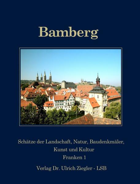 Der Band ist Teil der Reihe "Schätze der Landschaft und Natur, Baudenkmäler, Kunst und Kultur", die ausgewählte Regionen aus Europa, insbesondere aber aus Bayern, dann auch aus Deutschland und den Ländern des Alpenraumes in ausführlicheren und umfassenderen Darstellungen behandelt. Dabei wird jeweils, doch soweit im einzelnen sinnvoll, eine Aufgliederung in vier Bände vorgenommen: Der Hauptband (Cover dunkelblau) umfasst alle Themenbereiche. Bei entsprechendem Bedarf bzw. je nach Anzahl und Eigenschaft der in der Region vorhandenen Darstellungswerte sollen dazu ein Ergänzungsband "Landschaft und Natur" (Cover dunkelgrün), sowie ein weiterer "Baudenkmäler" (Cover apricot) und ein letzter "Kunst- und Kulturgut" (Cover rot) angeboten werden.